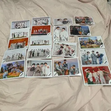 Snow Man 와타나베 쇼타 공식 사진