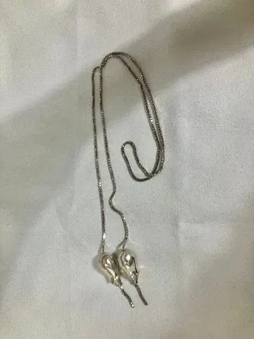 레어 단종 호아킨 벨라오 더블 튤립 라리엣