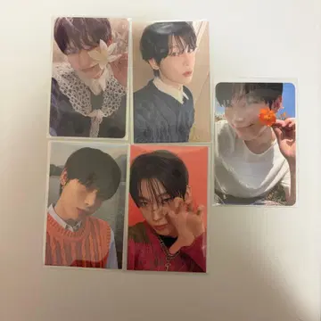 ENHYPEN 오렌지 블러드 선우 트레이딩 카드 럭키 드로우