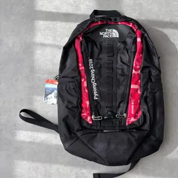 15331 택 포함 THE NORTH FACE 자수 백팩