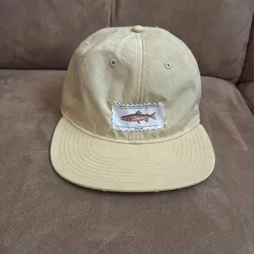 Beginner)Brook Sportfishing TagCap