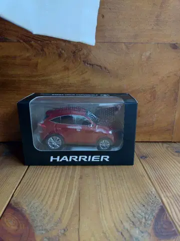 미니카 레드 하리아 크리스마스 선물