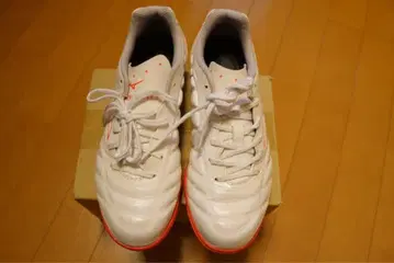 미즈노 리뷰어 트레이닝 슈즈