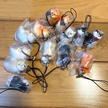 거부 시바 스트랩 캡슐 토이 가챠가챠 시바견