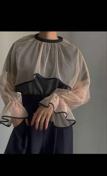 AMERI 2WAY VEIL TULLE TOP