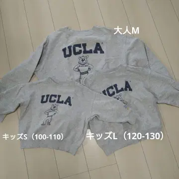 UCLA 맨투맨 트레이닝복 3종 세트