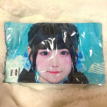 iLife 무지개 깃털 미니 실사 빅 타월