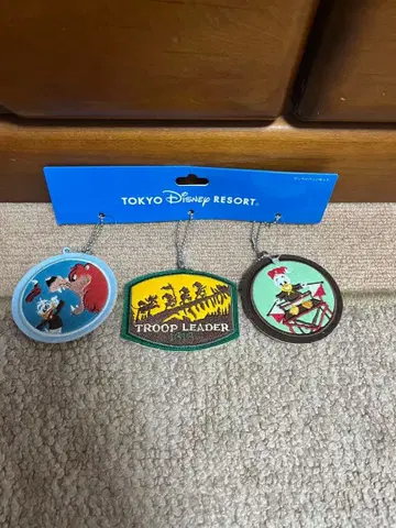 도쿄 디즈니 리조트 와펜 배지 세트