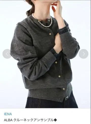 새상품 택 포함 IENA 이에나 ALBA 알바 앙상블 그레이