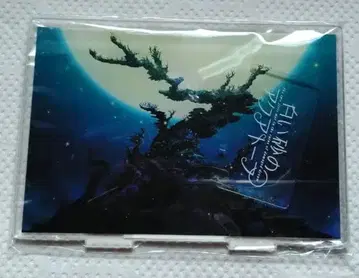 하얀 모래의 아쿠아톱 D 미술 스탠드 하얀 모래의 아쿠아톱