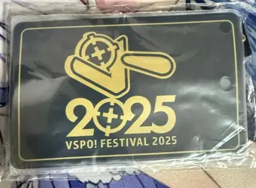 Vspo! 페스티벌 2025 S석 혜택 넥스트랩 부착 카드 케이스