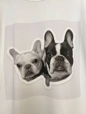 프렌치 불독 T셔츠