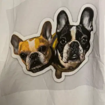 프렌치 불독 T셔츠 xxl 사이즈 화이트