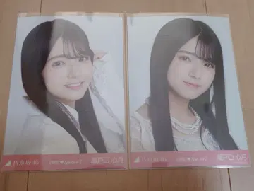 노기자카46 세토구치 신츠키 6기생 스페셜 2 브로마이드 요리 2종