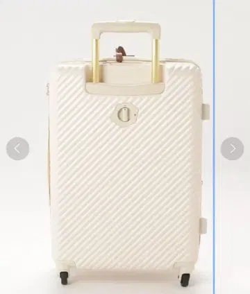 HaNT x Jewelna Rose 콜라보 M 사이즈 06822