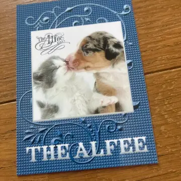 THE ALFEE 살자 카드 사카자키 씨