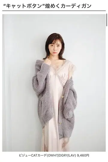 스나이델 홈 고양이 버튼 셋업