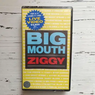 BIG MOUTH ZIGGY 라이브 DVD 미개봉 비닐 포함