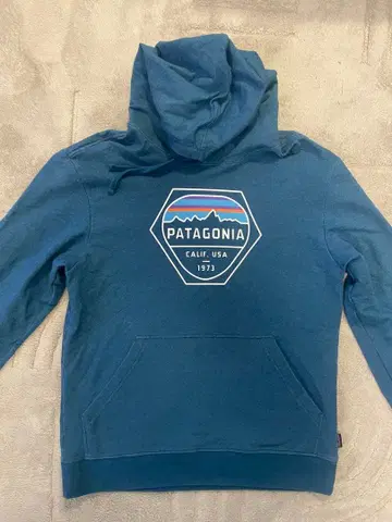 PATAGONIA 파타고니아 후드티