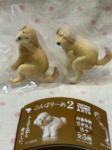 펀바리누 2 골든 리트리버 시크릿과 노멀