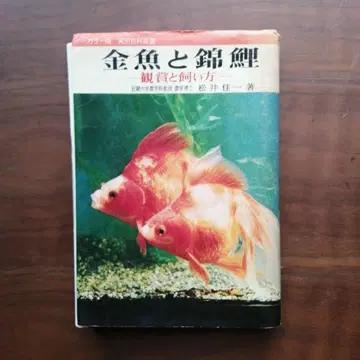 금붕어와 비단잉어 마츠이 카이치 저