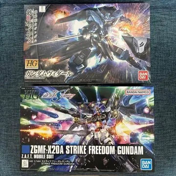 HG 건담 비다르 + HG 스트라이크 프리덤 건담