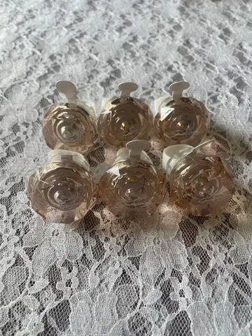 카이다 시온 링 라이트