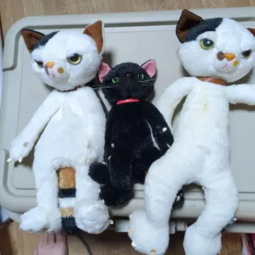 고양이 봉제 인형 3개 세트