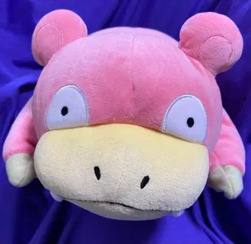 포켓몬 모찌후와 쿠션 [ 야돈 ]