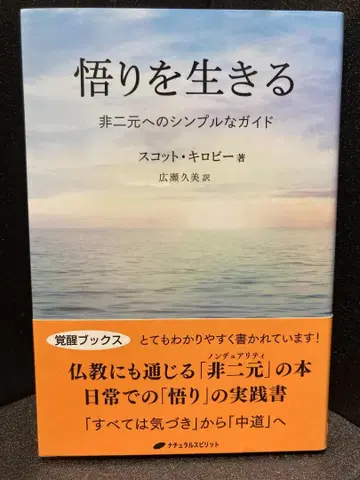 깨달음을 사는 삶 비이원적인 삶을 위한 심플한 가이드