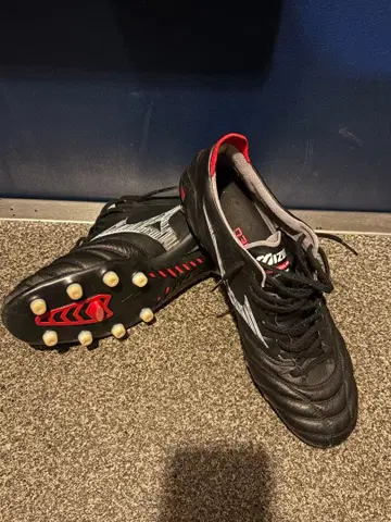 모렐리아 네오 4 JAPAN