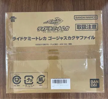 Z081 라이드 케미 트레이딩 카드 고져스 카구야 파일