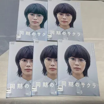 동기 사쿠라 DVD 전권 세트