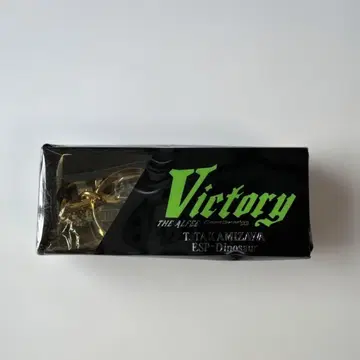Victory T. TAKAIZAWA ESP-Dinosaur 키링