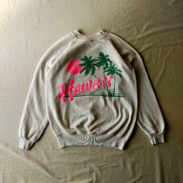 구제 의류 Hanes 맨투맨 래글런 슬리브 수베니어 80s 미국제