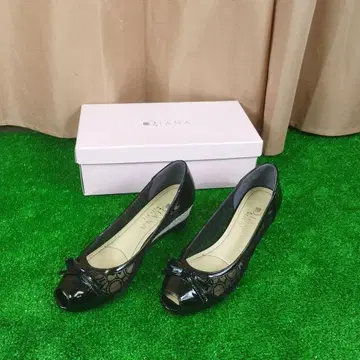 DIANA 펌프스