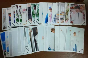 진구지 유타 공식 사진 33장