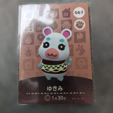 아미보 카드 유키미