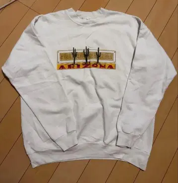 Hanes ARIZONA 트레이닝복 L 42-44