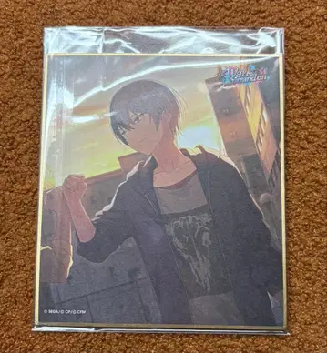 프로세카 아오야기 토야 색지