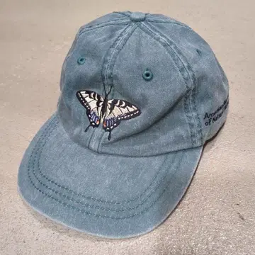 미국 자연사 박물관 뉴욕 버터플라이 캡