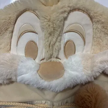 디즈니 팬캡 칩과 데일