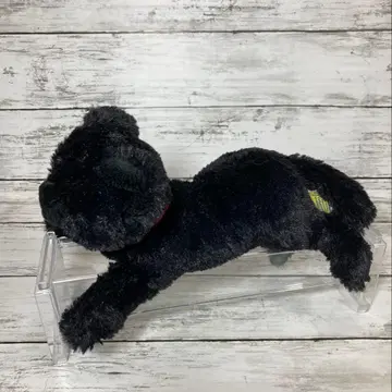 산레몬 무릎 고양이 BK (블랙/검은 고양이) SS 사이즈