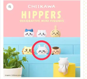 치이카와 Hippers 모몽가