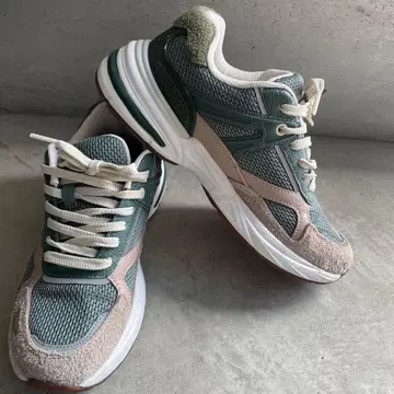 그린/베이지 스니커즈