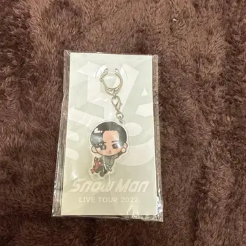 Snow Man LABO LIVE TOUR 2022 메구로 렌 키링