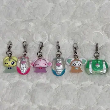 [ 익명 배송 ] 빛의 전사 프리큐어 메지루시 액세서리 전 6종 컴플리트