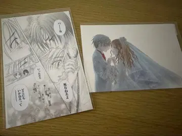 하나토유메전 학원앨리스 엽서 2장 히구치 타치바나 학원앨리스