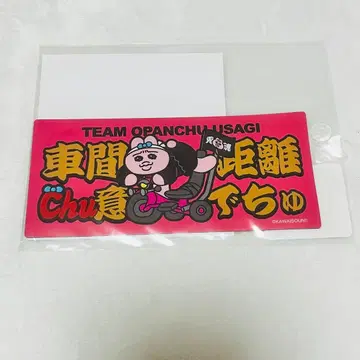 빤쮸토끼 카 마그넷