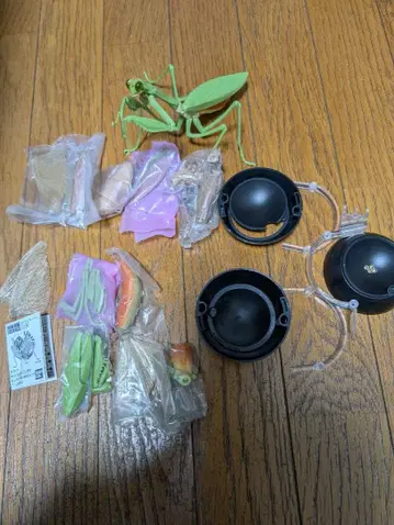 생물대도감 사마귀